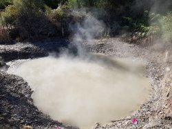 20181019_163517.jpg