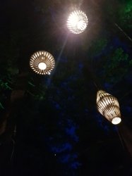 20181019_201501.jpg