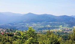 20180807_104518.jpg