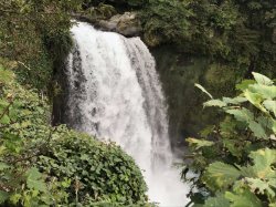 74621C0E-F2D9-4557-8B8F-D50BAAEB11F5.jpeg