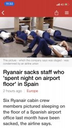 EDD0E88F-559C-4D9F-A71B-207CC9B3C7F1.jpeg