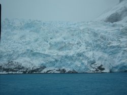 9B0794BF-CA0E-4CFE-8D32-1F8CF650F240.jpeg
