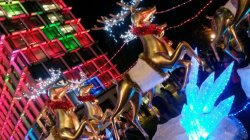 9F3B0059-280F-4C40-993F-A0B7974AFF41.jpeg