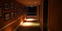 IMG_20181129_125908.jpg