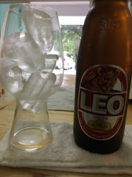 leo.jpg