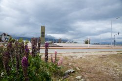20190107- Ant-21.jpg