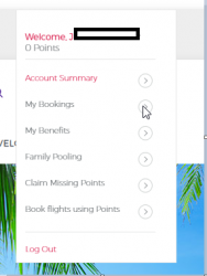 virgin_booking.png