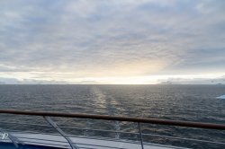 20190111- Ant-226.jpg