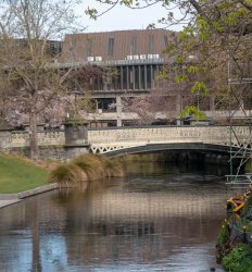 Christchurch NZ-2.jpg