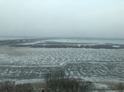 IMG_0382.JPG
