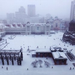 IMG_0239.JPG
