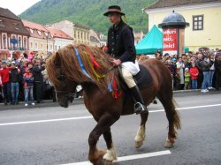 1-Brasov Horse Parade 6.jpg