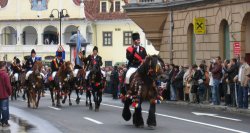 2-Brasov Horse Parade.jpg
