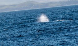Kaikoura-54.jpg