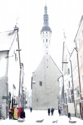 P1000352a.JPG