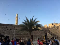 2F15B138-9A08-4770-9CF3-E3CCBDE83C88.jpeg