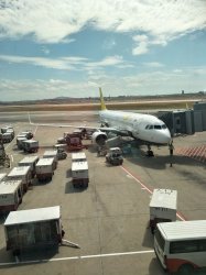 IMG20190212112253 (1) - Copy.jpg