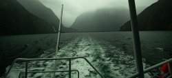 Milford Sound (73).jpg