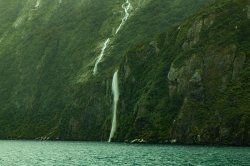 Milford Sound (94).jpg