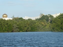 P1030378 - Copy.JPG