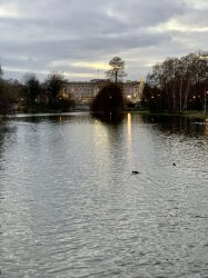 612318B0-944D-47C9-9126-3C26A3E6387F.jpeg