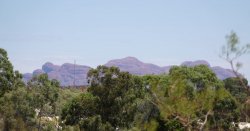 DSC00130.JPG