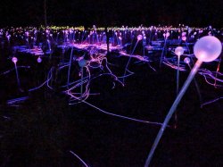 IMG_20190208_222052.jpg