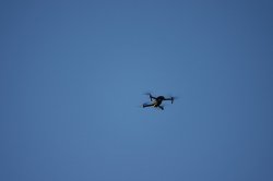 DSC00182.JPG