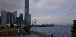 20190301_115906.jpg