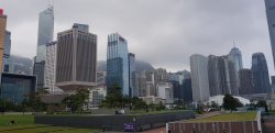 20190301_115923.jpg