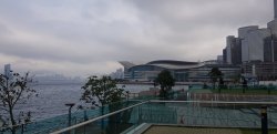 20190301_115941.jpg