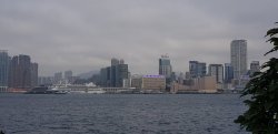 20190301_115958.jpg