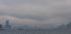 20190301_121734.jpg