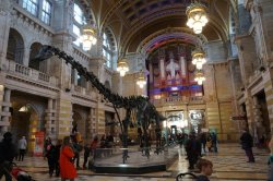 Kelvingrove 2 (1).jpg Kelvingrove 2 (1).jpg