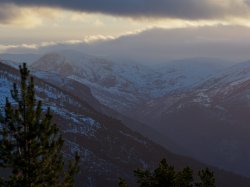 P2241265.jpg