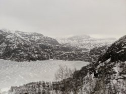 IMG_20190225_095515.jpg