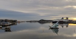 IMG_20190225_161336.jpg