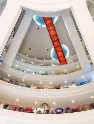 _SHP2798-Web-NM.jpg