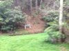 ImageUploadedByAustFreqFly1377508143.558588.jpg