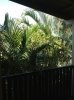 ImageUploadedByAustFreqFly1378943160.436677.jpg