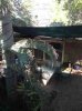 ImageUploadedByAustFreqFly1378943177.552202.jpg