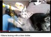 Blow Tickler.JPG