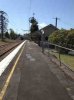 ImageUploadedByAustFreqFly1379144380.704931.jpg