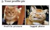 ImageUploadedByAustFreqFly1379233403.381900.jpg