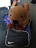 Departure bag.jpg Departure bag.jpg
