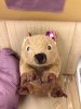 Wombat A380.jpg