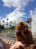 Wombat Brussels.jpg