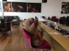 Wombat T5 lounge.jpg
