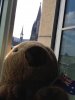 Wombat Cologne.jpg