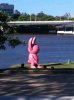 ImageUploadedByAustFreqFly1379824061.748302.jpg